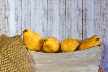 Nature morte aux coings sur Anette Jäger