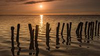 Zonsondergang op het Wad bij Ternaard