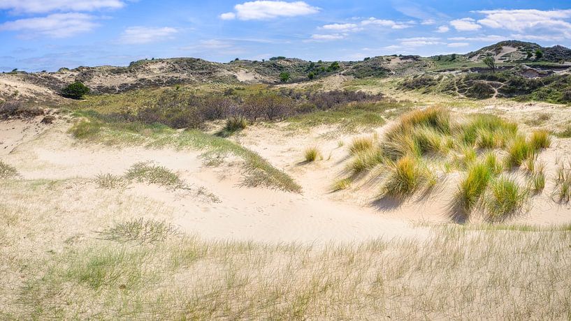 duin impressie van de Amsterdamse waterleidingduinen van eric van der eijk