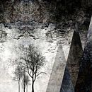 TREES besides MAGIC MOUNTAINS I by Pia Schneider thumbnail