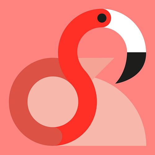 Grafik Vögel - Flamingo