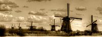 Dutch