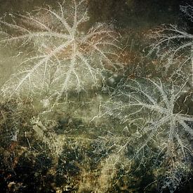 Feuille d'automne dans la nuit sur HMS