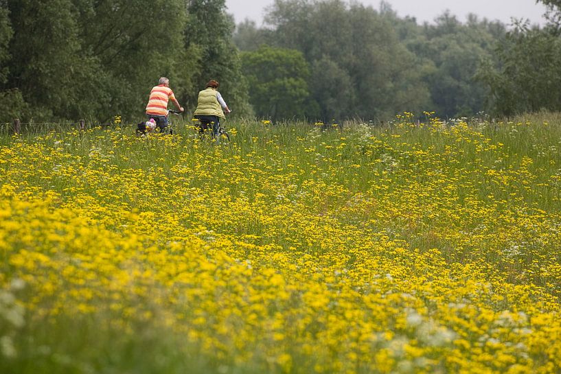 Mensen fietsen op de dijk langs begroeide van Ger Loeffen