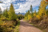 Herfstlandschap met uitzicht op de Brocken in de Harz