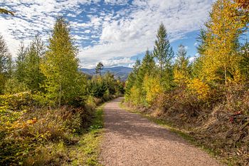 Herbstlandschaft mit Blick auf den Brocken im Harz