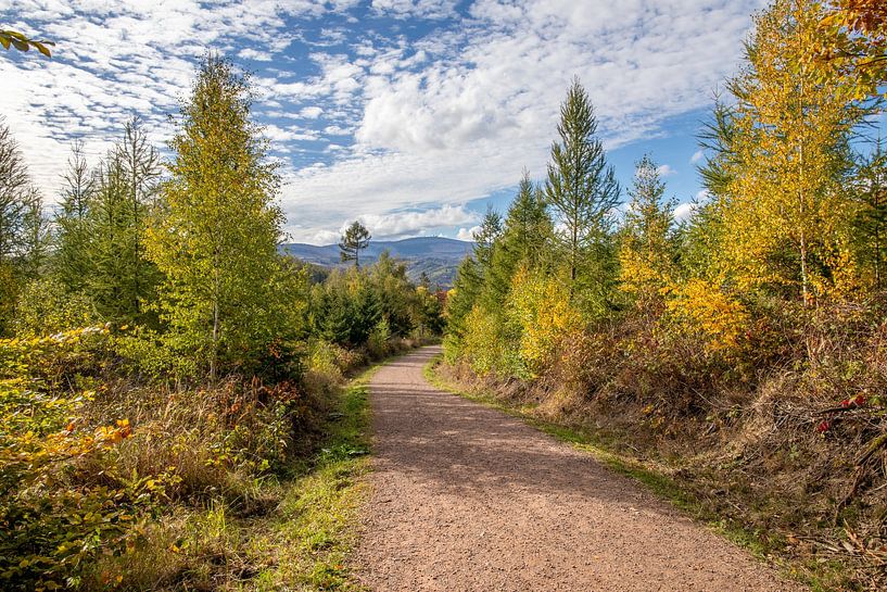 Herfstlandschap met uitzicht op de Brocken in de Harz van t.ART