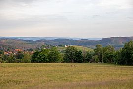 St. Andreasberg (Harz) - Blick auf den Glockenberg von t.ART