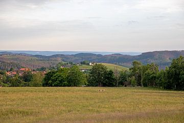 St. Andreasberg (Harz) - Uitzicht op de Glockenberg van t.ART