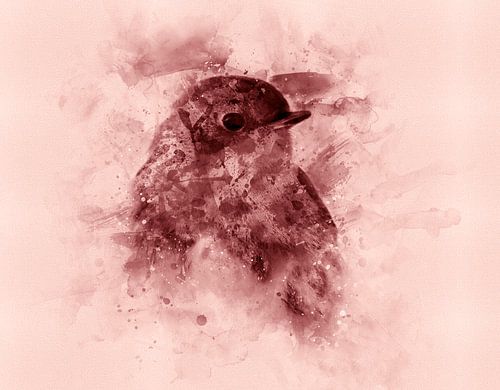 Roodborstje, Aquarel van een vogel in rood, roestbruin en roze