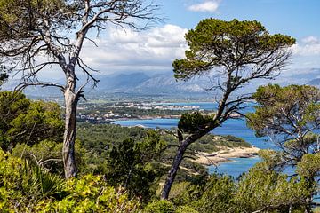 Kustlandschap voor het schiereiland La Victoria in Mallorca van Reiner Conrad