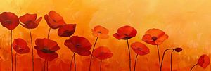 Mohn Blumen