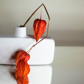 Pure by Mona Stut