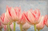 peinture de tulipes par eric van der eijk Aperçu