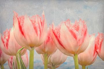 peinture de tulipes