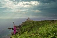 Castle on cliff (Fort La Latte) by Laura Krol thumbnail