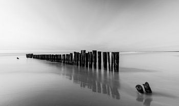 Les pôles reflètent la montée des eaux