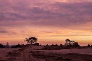 Lever du soleil Kootwijkerzand sur Peter Haastrecht, van