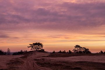 Sunrise Kootwijkerzand by Peter Haastrecht, van