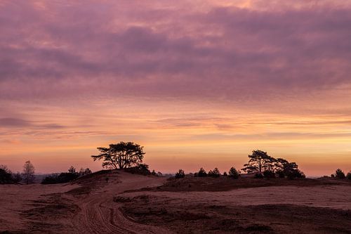 Lever du soleil Kootwijkerzand