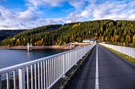 Herfstwandeling rond de Ohratal dam bij Luisenthal - Thüringer Woud van Oliver Hlavaty thumbnail