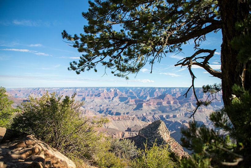 Le Grand Canyon : une large gorge très profonde ... par Ton Tolboom