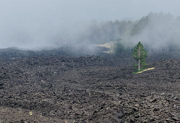 Etna 2 van Jurgen Hermse