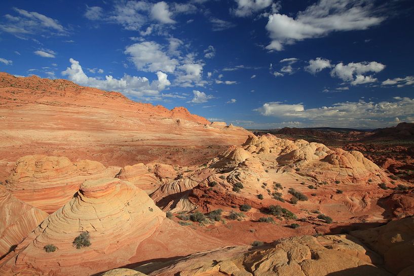 Felsformationen in den North Coyote Buttes, Teil des Vermilion Cliffs National Monument. Dieser Bere von Frank Fichtmüller