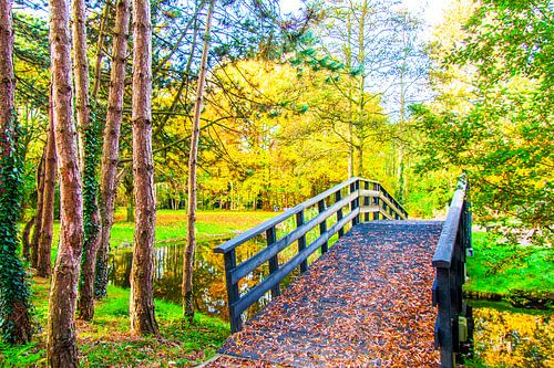 Herfstfoto in het park Buitenoord te Barendrecht.