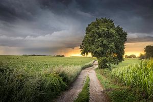 Entre soleil et tempête à Heijenrath