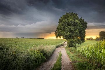 Tussen zon en storm in Heijenrath van Ton Drijfhamer