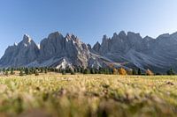 Geislergruppe in de herfst Dolomieten Villnöss Zuid-Tirol