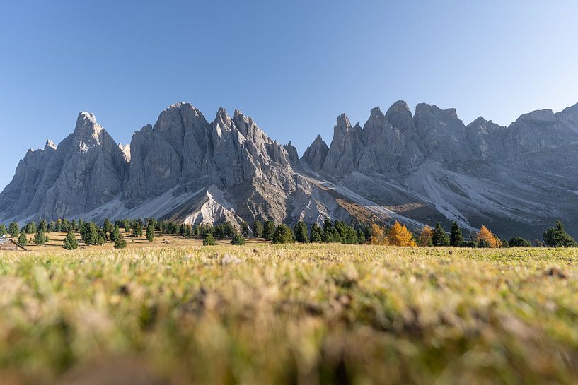Geislergruppe in de herfst Dolomieten Villnöss Zuid-Tirol van Daniel Kogler