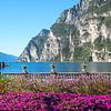 Fleurs colorées dans le parc municipal de Riva del Garda, au bord du lac de Garde sur SusaZoom