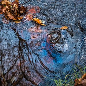 Fließendes Wasser im Herbst von Idema Media