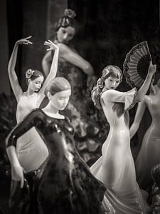 Flamenco von Alexander Voss
