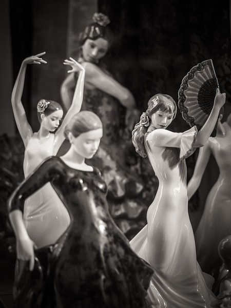 Flamenco by Alexander Voss