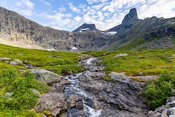 Landscape around the Romsdalshorn, Norway by Adelheid Smitt