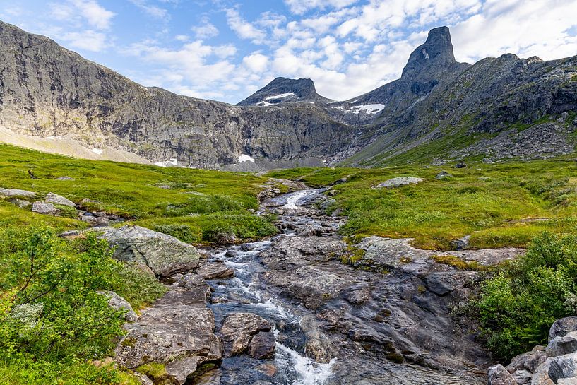 Landscape around the Romsdalshorn, Norway by Adelheid Smitt