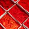 Poudre de Holi rouge sur Ron van der Stappen