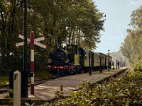 Steam train at stop 'Zoutindustrie'