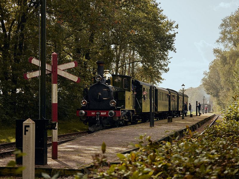 Steam train at stop 'Zoutindustrie' by Noah van Kipshagen