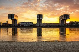 Köln Kranhäuser im Sonnenuntergang von Frank Herrmann