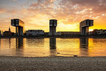 Köln Kranhäuser im Sonnenuntergang