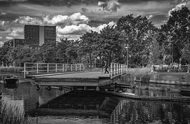 Piushaven Draaibrug