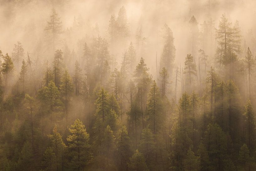 Nach dem Regen.... von Remco Stunnenberg