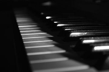 Piano Keys by Daphne Haaijer