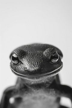 Salamander van Poster Art Shop