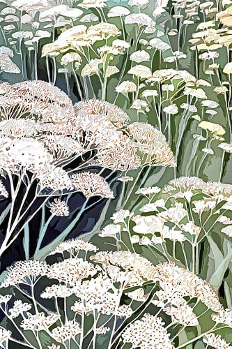 Veld met fluitenkruid in de lentezon