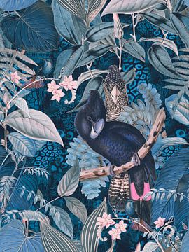 Paradies der Kakadus von Andrea Haase